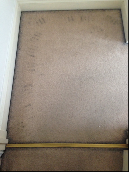 Clean my carpets Cambridge