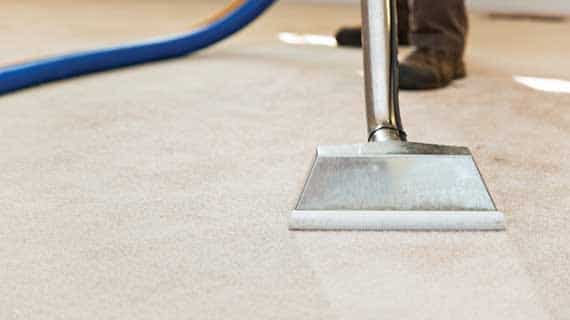 Carpet Cleaning