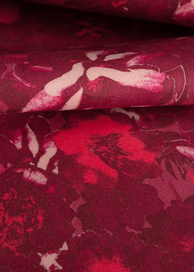 Upholstery Cleaning Cambridge