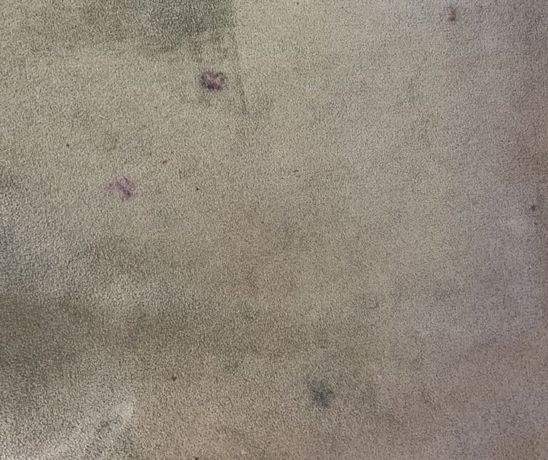 How-to-get-ink-stains-out-of-carpet…-the-safe-way
