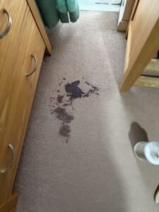 bEFORE CLEANING blOOD OUT OF A CARPET