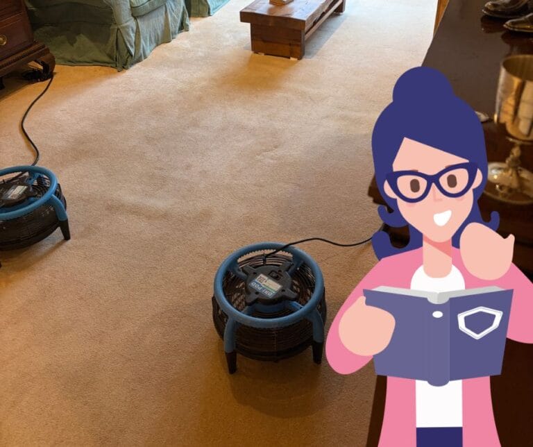 Can You Bleach Carpet Without Ruining It What You Need to Know Art of Clean Cambridge