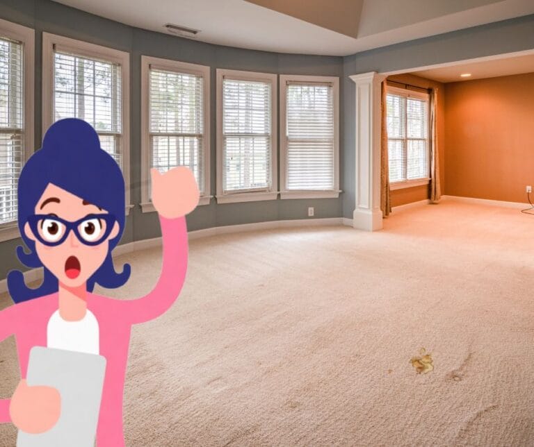 The Professional Approach to Removing Coffee Stains from Carpet Art of Clean Cambridge