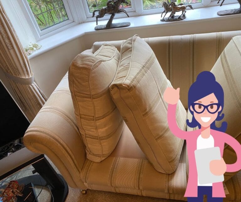 How to remove pet fur off a sofa (and keep build up down) Art of Clean Cambridge (Facebook Post)